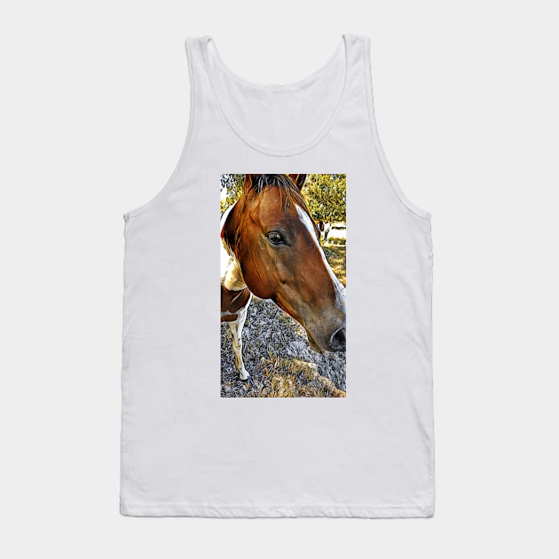 Why The Long Face ? Tank Top by davidbstudios